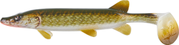 Balzer Shirasu Clone Shad  Hecht 12cm