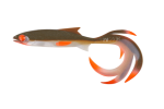 Balzer Shirasu Reptile Shad  Booster  UV Arkansas Shiner 11cm