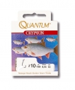 Quantum Rotaugenhaken